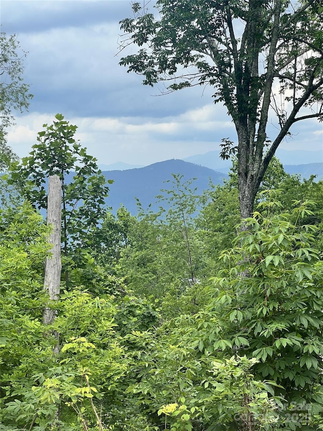 LOT53 Mountain Air Dr Unit 53/1, Burnsville, NC 28714 - photo 2
