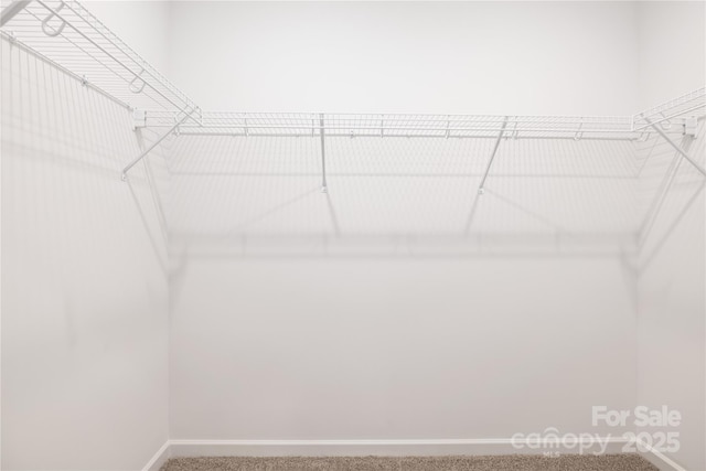 4226 Acorn St, Charlotte, NC 28205 - walk in closet featuring carpet floors
