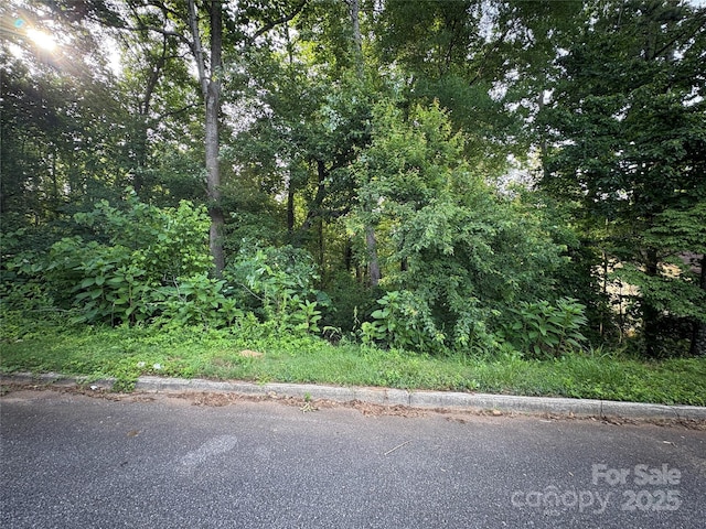 0 8th Street Dr SW, Hickory, NC 28602 - photo 2