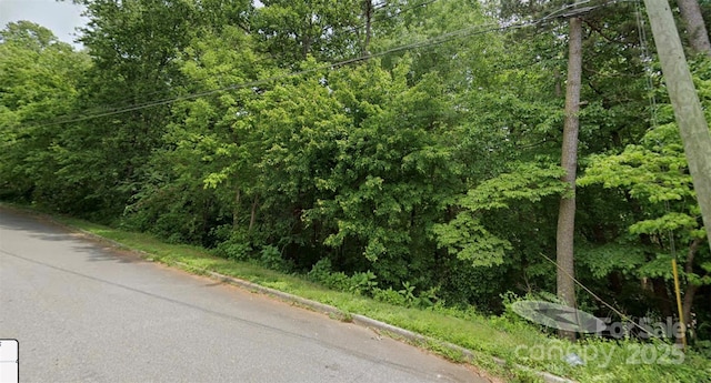 0 8th Street Dr SW, Hickory, NC 28602 - photo 3