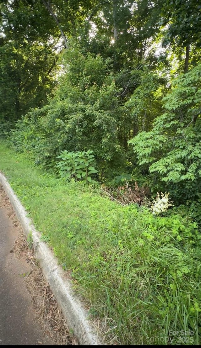 0 8th Street Dr SW, Hickory, NC 28602 - photo 4