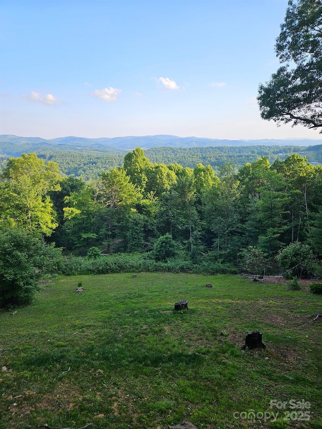 871 Lower Nettle Knob Rd, West Jefferson, NC 28694 - view of mountain background with a heavily wooded area
