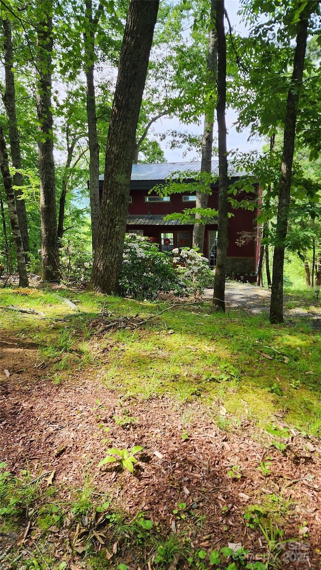 871 Lower Nettle Knob Rd, West Jefferson, NC 28694 - view of yard