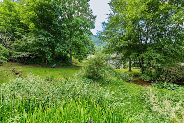 165 Mont Shook Dr, Mars Hill, NC 28754 - photo 5