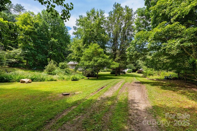 165 Mont Shook Dr, Mars Hill, NC 28754 - photo 6