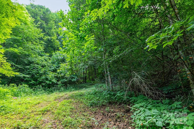 165 Mont Shook Dr, Mars Hill, NC 28754 - photo 20