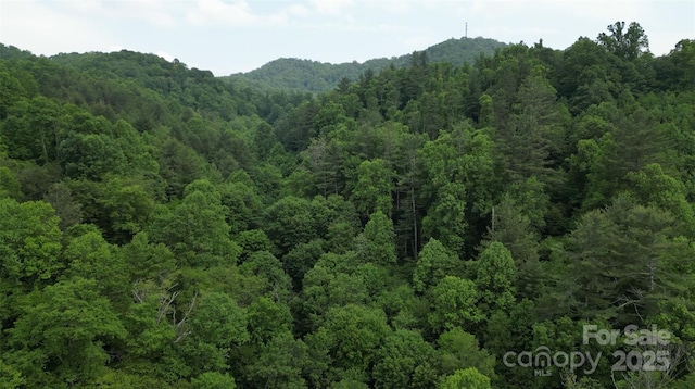 165 Mont Shook Dr, Mars Hill, NC 28754 - photo 28