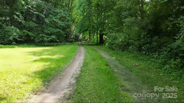165 Mont Shook Dr, Mars Hill, NC 28754 - photo 29