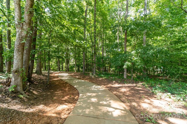 10321 Lemington Dr, Mint Hill, NC 28227 - photo 38