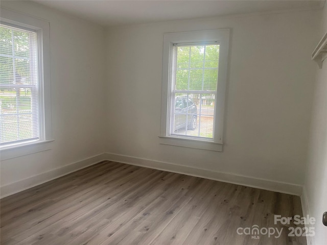 659 Annafrel St, Rock Hill, SC 29730 - spare room with healthy amount of natural light and light wood-type flooring