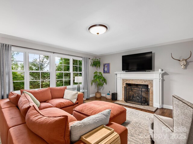 19 Albemarle Rd, Asheville, NC 28801 - photo 4