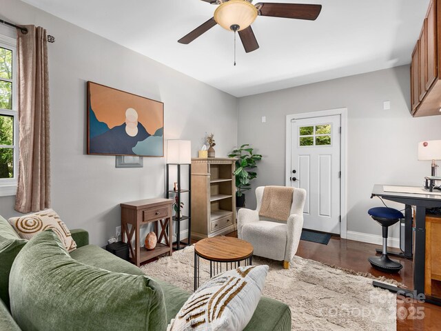 19 Albemarle Rd, Asheville, NC 28801 - photo 11