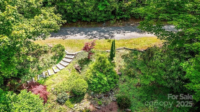 455 Lookout Dr, Pisgah Forest, NC 28768 - photo 6