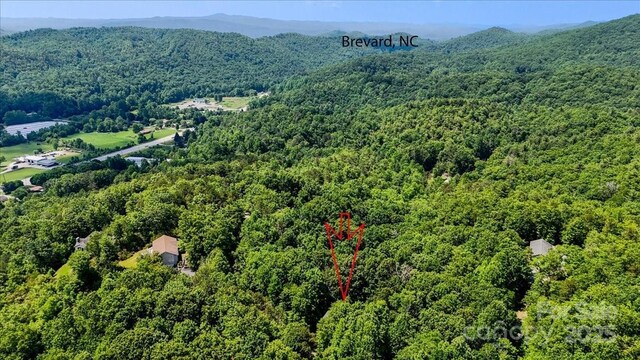 455 Lookout Dr, Pisgah Forest, NC 28768 - photo 42