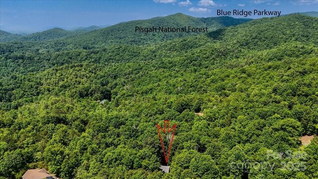 455 Lookout Dr, Pisgah Forest, NC 28768 - photo 43