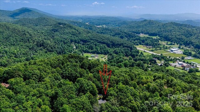 455 Lookout Dr, Pisgah Forest, NC 28768 - photo 44