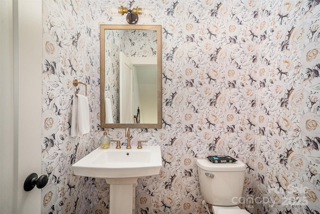 3026 Kalex Ct, Charlotte, NC 28204 - half bathroom with wallpapered walls