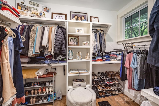 3026 Kalex Ct, Charlotte, NC 28204 - walk in closet featuring wood finished floors