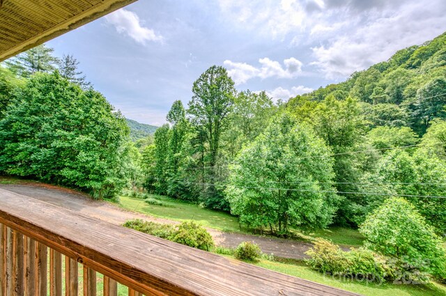 8851 Grapevine Rd, Marshall, NC 28753 - photo 4