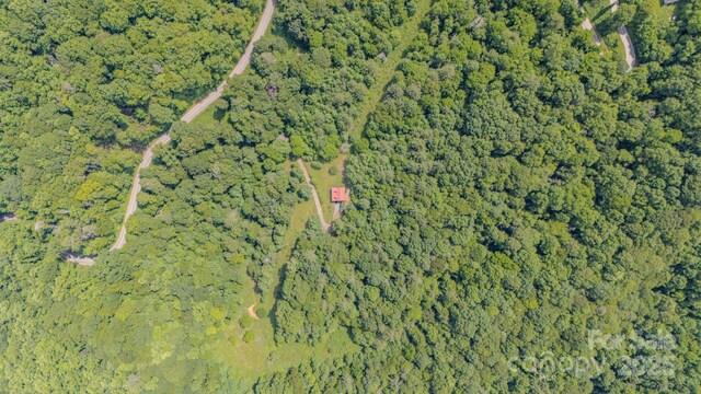 8851 Grapevine Rd, Marshall, NC 28753 - photo 7