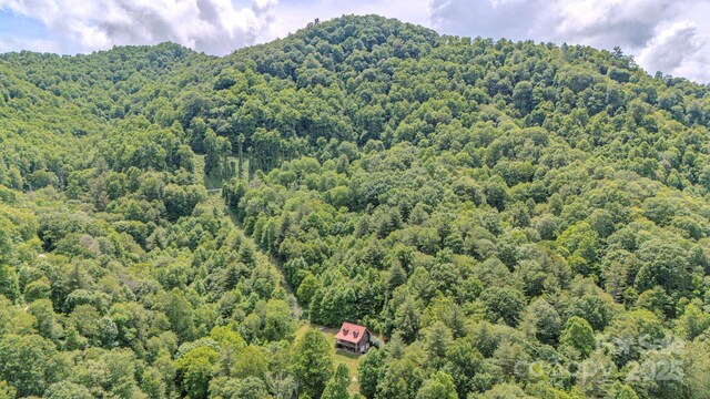 8851 Grapevine Rd, Marshall, NC 28753 - photo 8