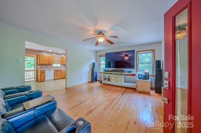8851 Grapevine Rd, Marshall, NC 28753 - photo 9
