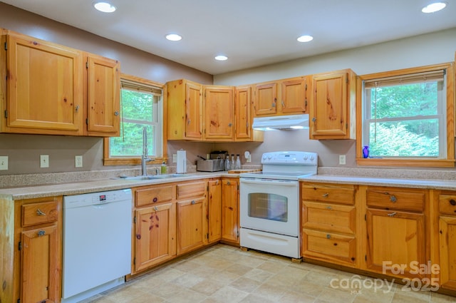 8851 Grapevine Rd, Marshall, NC 28753 - photo 12