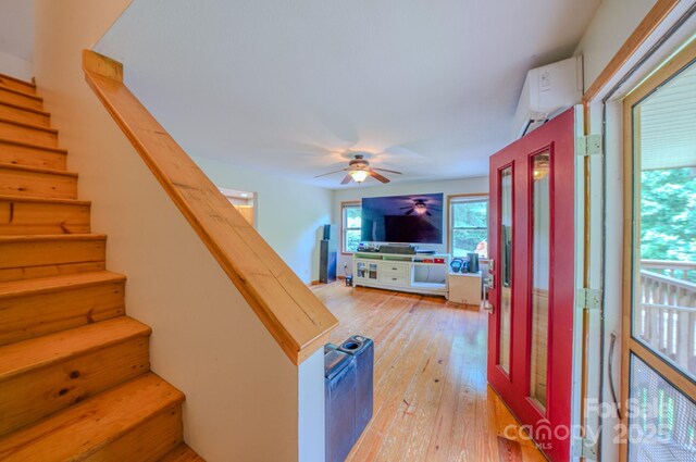 8851 Grapevine Rd, Marshall, NC 28753 - photo 21