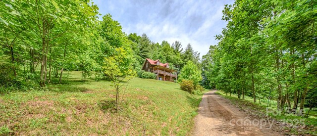 8851 Grapevine Rd, Marshall, NC 28753 - photo 30