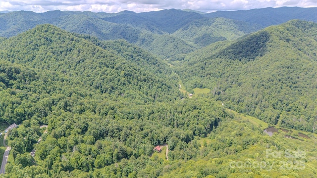 8851 Grapevine Rd, Marshall, NC 28753 - photo 33
