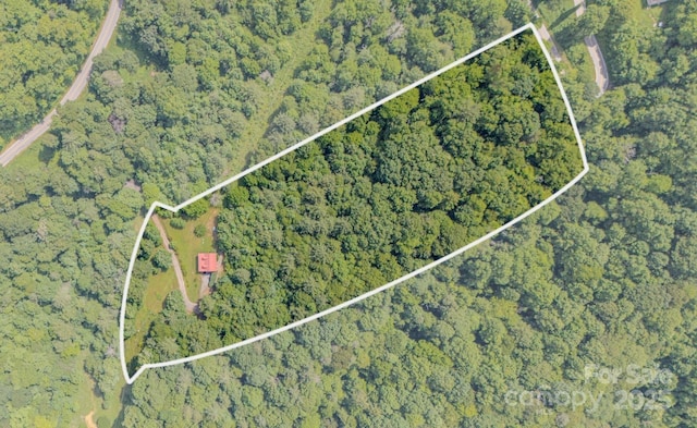 8851 Grapevine Rd, Marshall, NC 28753 - photo 34