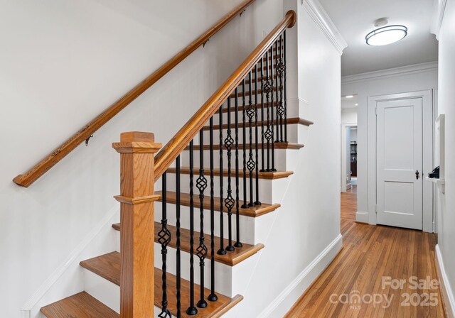 2100 Chesterfield Ave, Charlotte, NC 28205 - photo 28