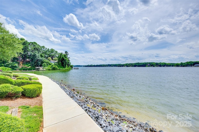 14053 Queens Harbor Rd, Charlotte, NC 28278 - water view