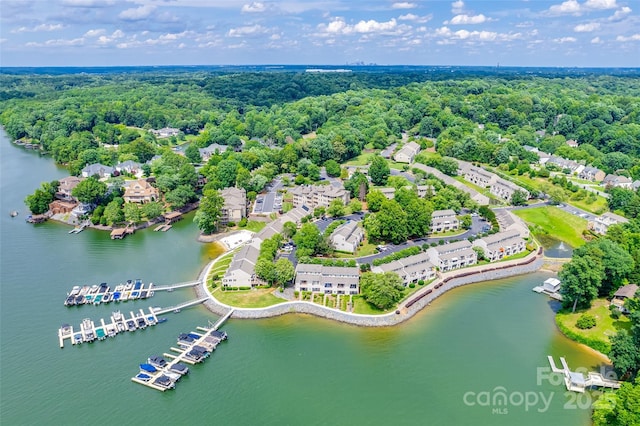14053 Queens Harbor Rd, Charlotte, NC 28278 - drone / aerial view of a heavily wooded area