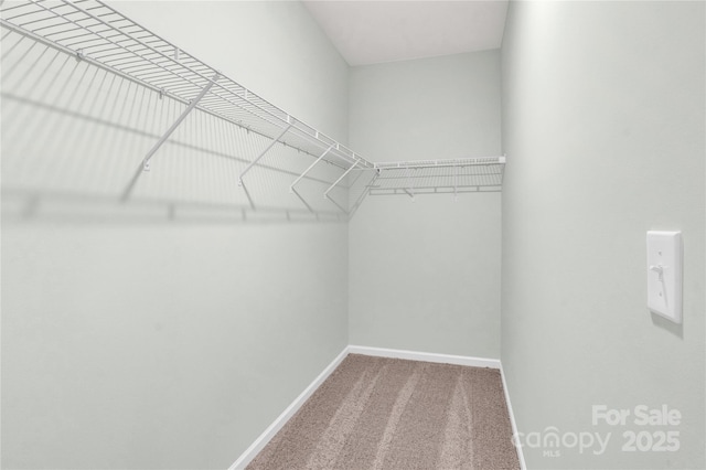 3207 Selwyn Landing Dr, Charlotte, NC 28215 - spacious closet with carpet flooring