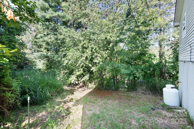 42 Anna Glenn Ln, Weaverville, NC 28787 - photo 30