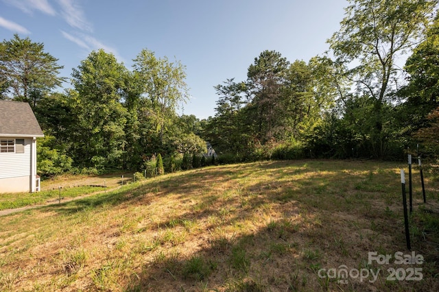 42 Anna Glenn Ln, Weaverville, NC 28787 - photo 34