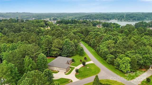 106 Pier Point Dr, Stony Point, NC 28678 - bird's eye view of a forest and a nearby body of water