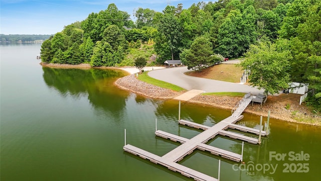 106 Pier Point Dr, Stony Point, NC 28678 - dock featuring a water view