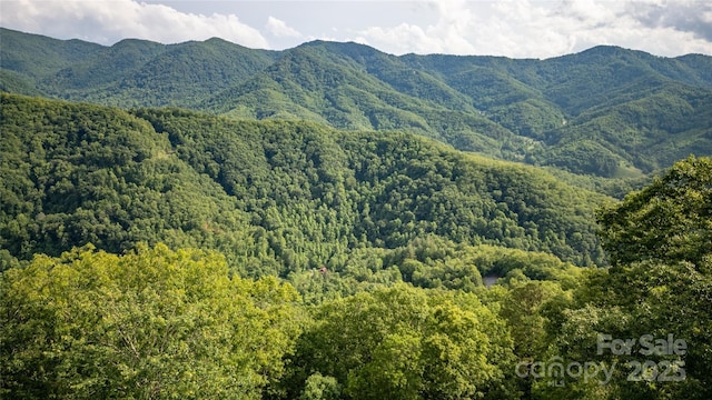 1145 Eagles Roost Rd, Bryson City, NC 28713 - view of mountain background with a heavily wooded area