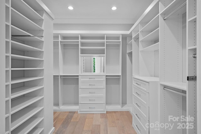 19329 Watermark Dr Unit 422, Cornelius, NC 28031 - walk in closet with light wood-style flooring