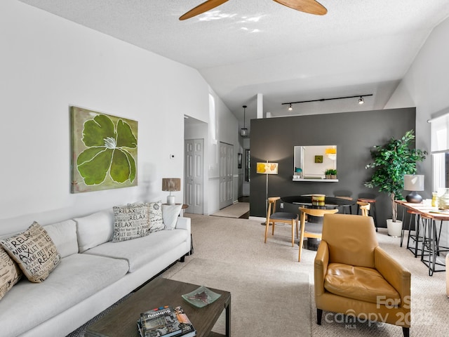 305 Piney Mountain Dr Unit B3, Asheville, NC 28805 - carpeted living area with lofted ceiling, a ceiling fan, and track lighting