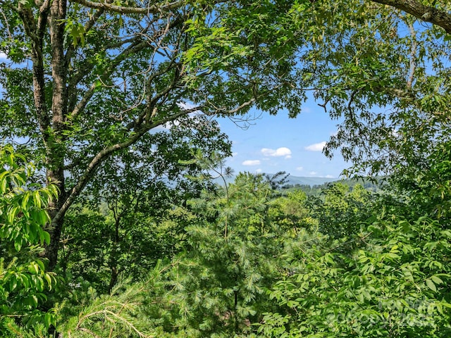 305 Piney Mountain Dr Unit B3, Asheville, NC 28805 - view of woods