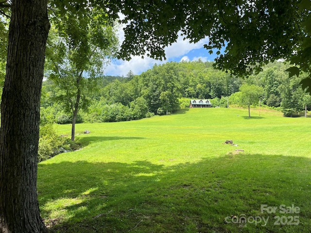 621 Cherryfield Crk, Brevard, NC 28712 - photo 4