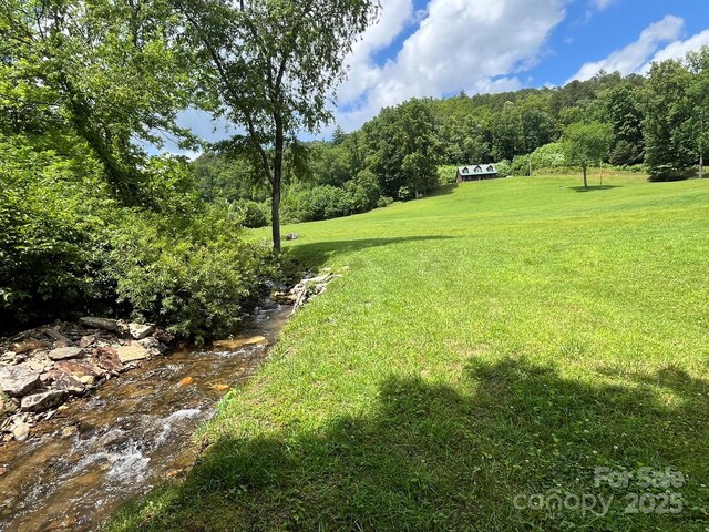 621 Cherryfield Crk, Brevard, NC 28712 - photo 38