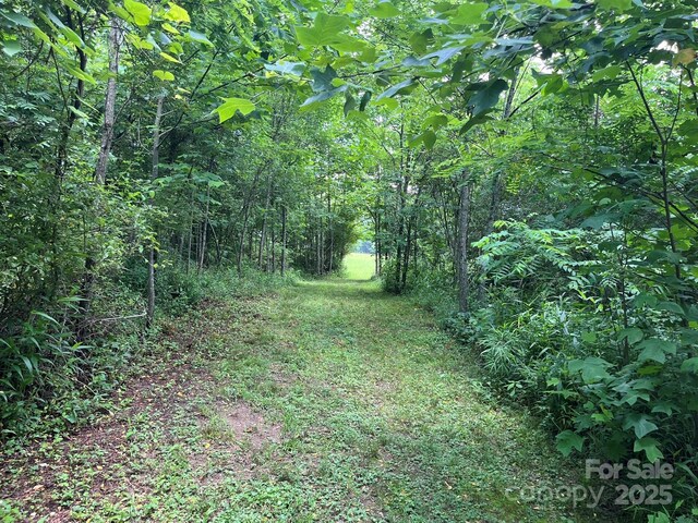 621 Cherryfield Crk, Brevard, NC 28712 - photo 40