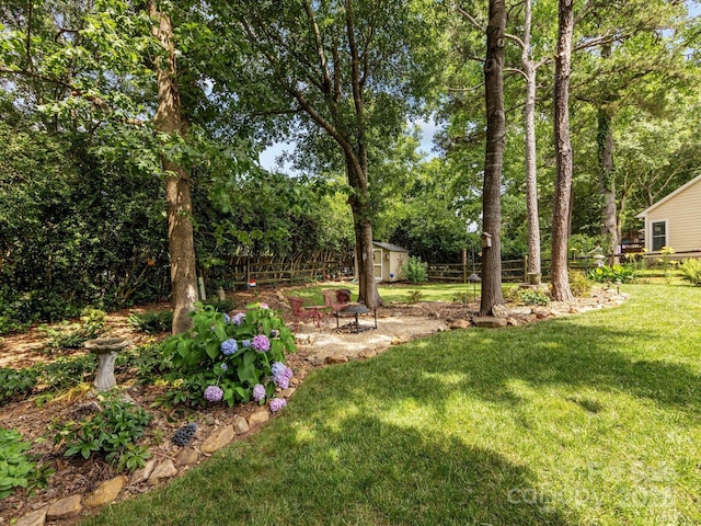 13600 Seastone Ln, Pineville, NC 28134 - view of yard with a storage shed and view of wooded area