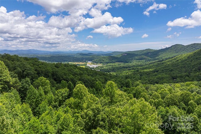 152 Bear Rock Rd, Hendersonville, NC 28739