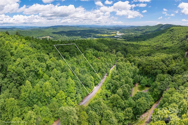 152 Bear Rock Rd, Hendersonville, NC 28739