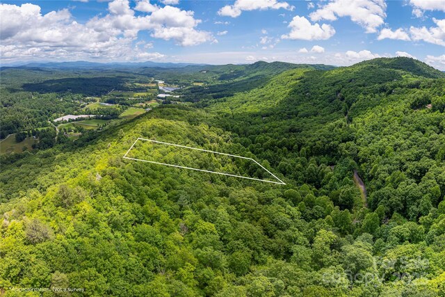 152 Bear Rock Rd, Hendersonville, NC 28739